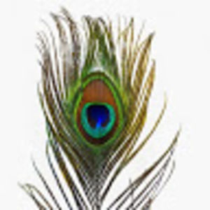 Meet your Posher, Poleste